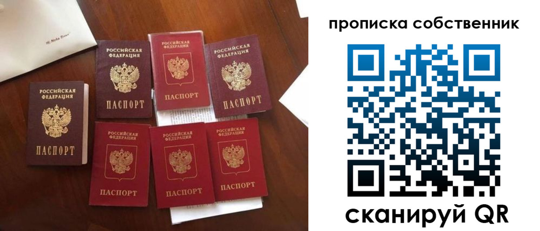 прописка для школы в Черногорске